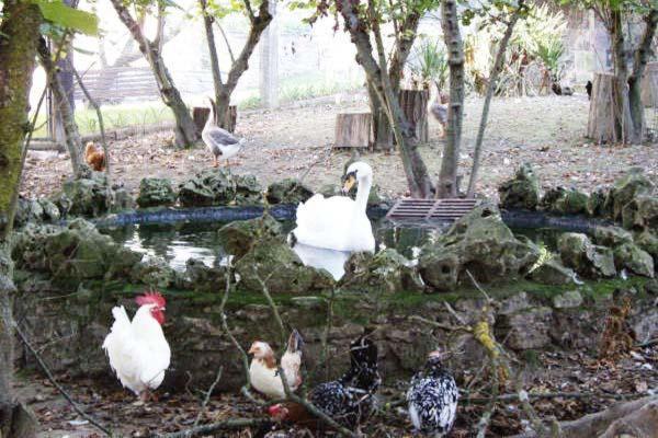 Apartamentos Rurales Rincon De Aiara Menagaray エクステリア 写真